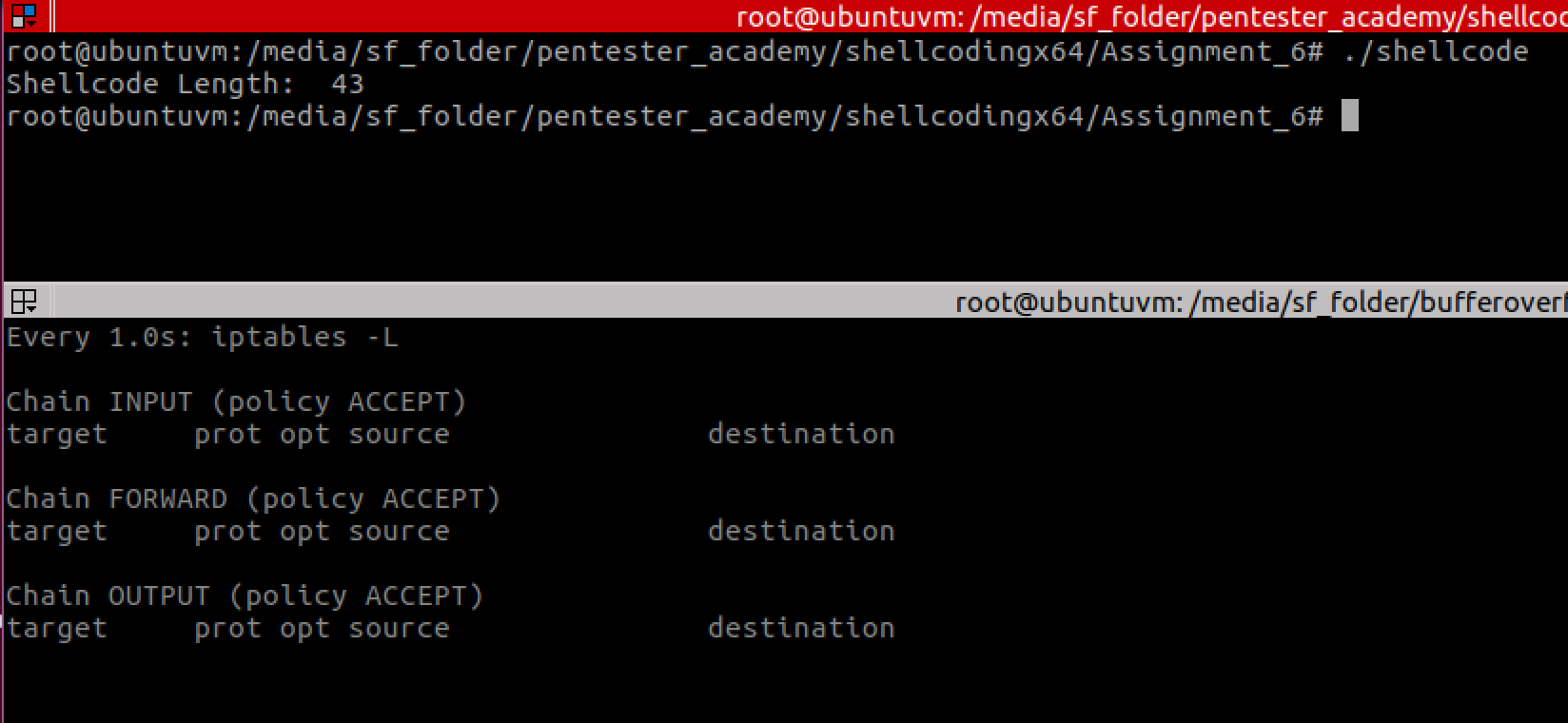 Polymorphic and smaller versions of three shell-storm’s x64 shellcodes, including the smallest execve /bin/sh
