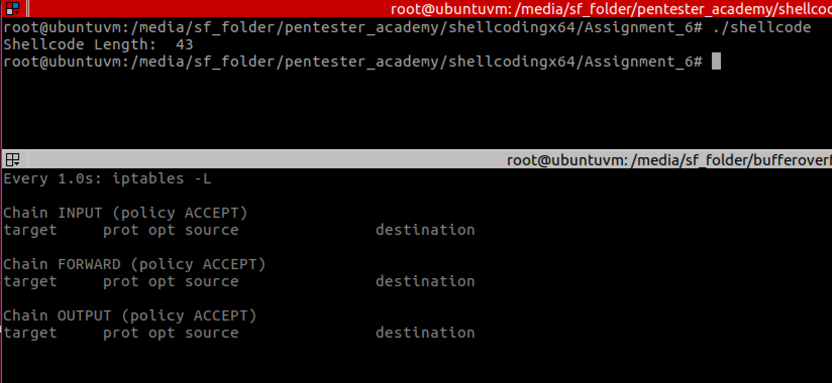 Polymorphic and smaller versions of three shell-storm�s x64 shellcodes, including the smallest execve /bin/sh
